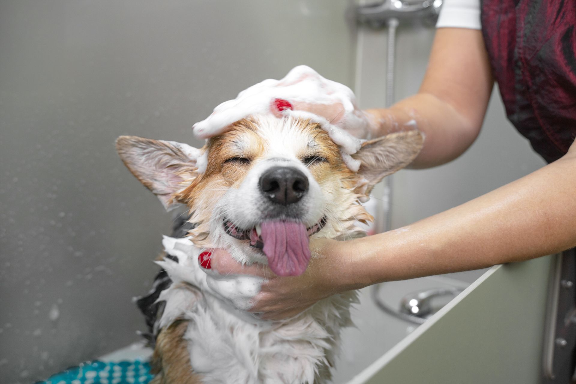 Ear Cleaning in Titusville