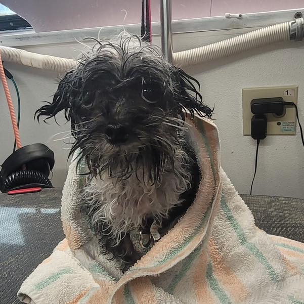 Bath & Dry in Titusville